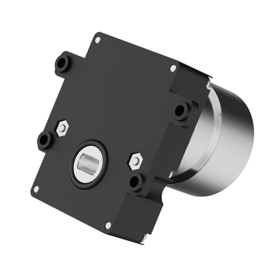 Compact 30 Rpm Solucan Dc Motor 12v Valf için
